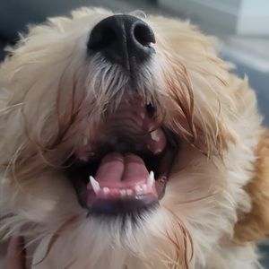 Meet your Posher, Mary luz